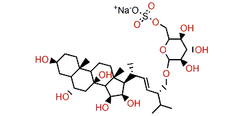 Pisasteroside A